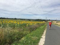 0175897f71536938fd4c9ab783d762b0c5c6f29fd3