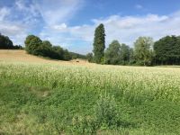 01883122791592af7d7157603fd76f21642205fea5