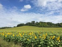 01a597744a6495f1af205214ff8b9a2e23aedeb027