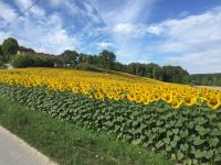 01c139727d9561655dcc905d9bf2a3ca2992f36646