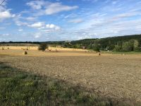 01c3538d202704bbc92fe7e5bed450374c890385f5