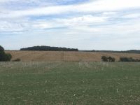 01cd6df45eb6b9e1919a6dbd6f846447c846b940f1